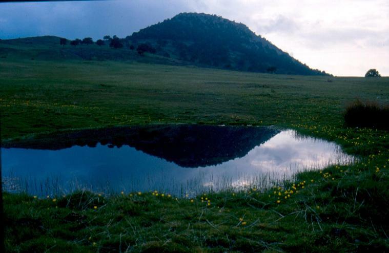 Cuevas Adonia Villa Freila ภายนอก รูปภาพ